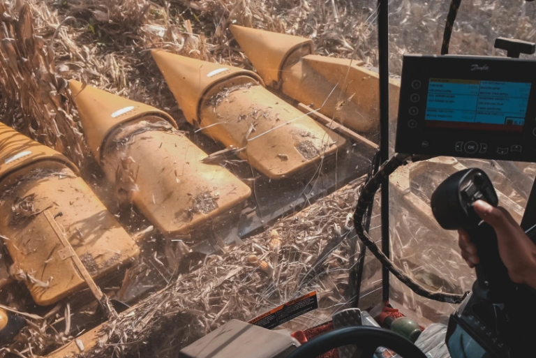 Servicio de producción de semillas híbridas de maíz и girasol