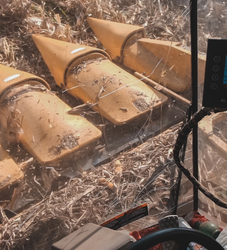 Servicio de producción de semillas híbridas de maíz и girasol